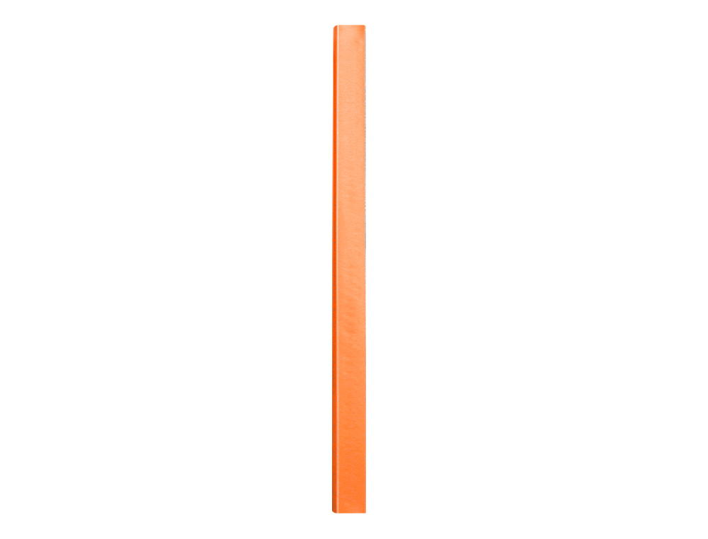PROTEGE-DOCUMENTS LIDERPAPEL POLYPROPYLENE COUVERTURE      FLEXIBLE 30 POCHETTES FIXES   A4 220X297MM ORANGE FLUO