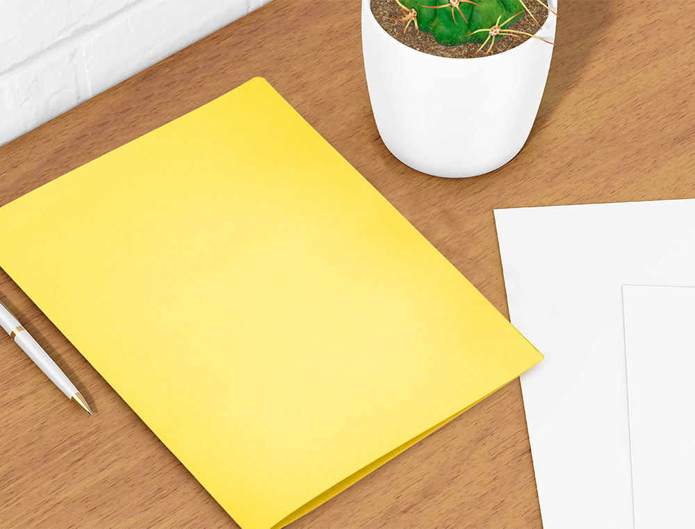 SOUS-CHEMISE LIDERPAPEL PAPIER CARTONNÉ 180G 310X230MM DOCUMENT A4 210X297MM COLORIS PASTEL JAUNE INTENSE