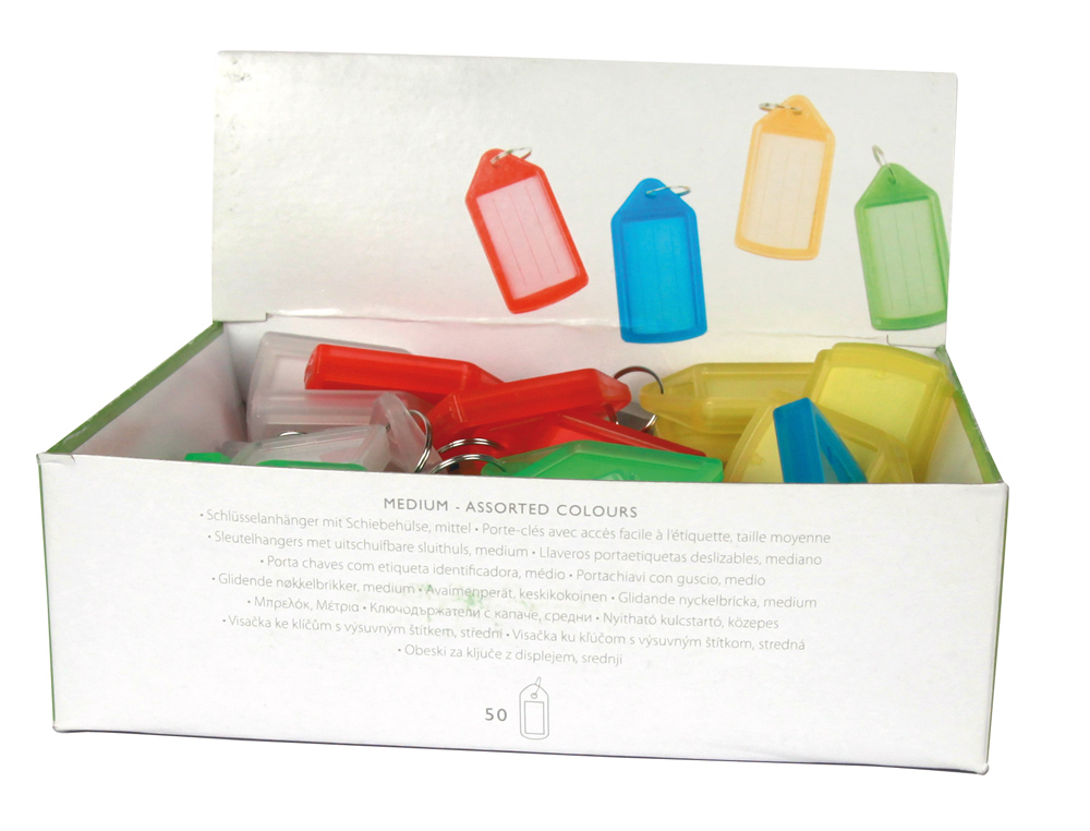 PORTE-CLÉS Q-CONNECT PORTE-ÉTIQUETTE PLASTIQUE 55X30MM LIGNES HORIZONTALES COLORIS ASSORTIS PRÉSENTOIR 40 UNITÉS