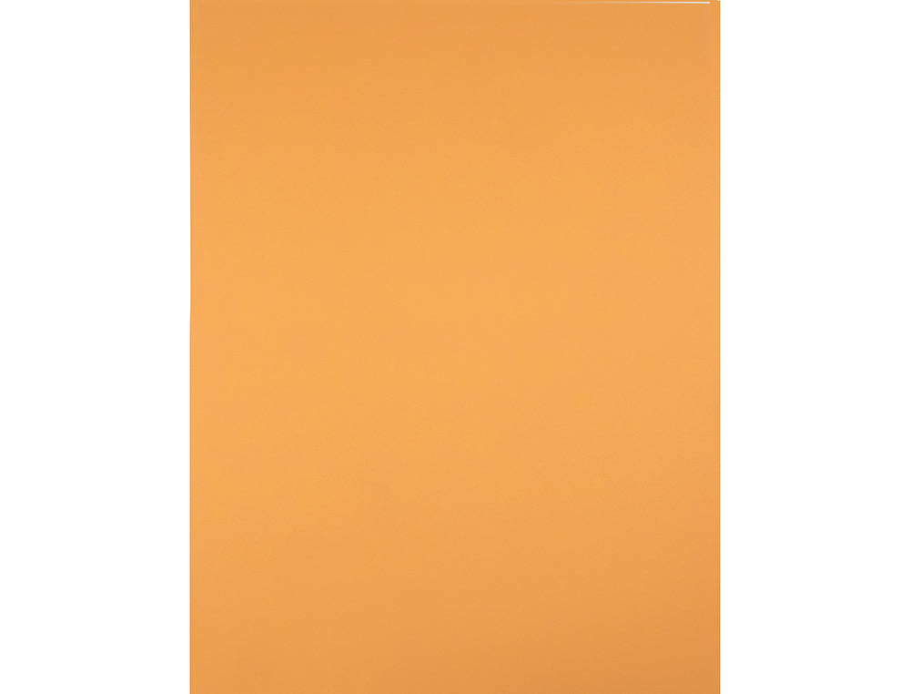 PAPIER CARTONNE LIDERPAPEL 50X65CM 240GR COLORIS NOISETTE PAQUET 25 FEUILLES