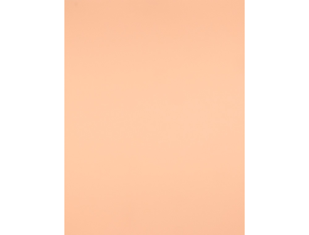 PAPIER CARTONNE LIDERPAPEL 50X65CM 240GR COLORIS SEPIA   PAQUET 25 FEUILLES