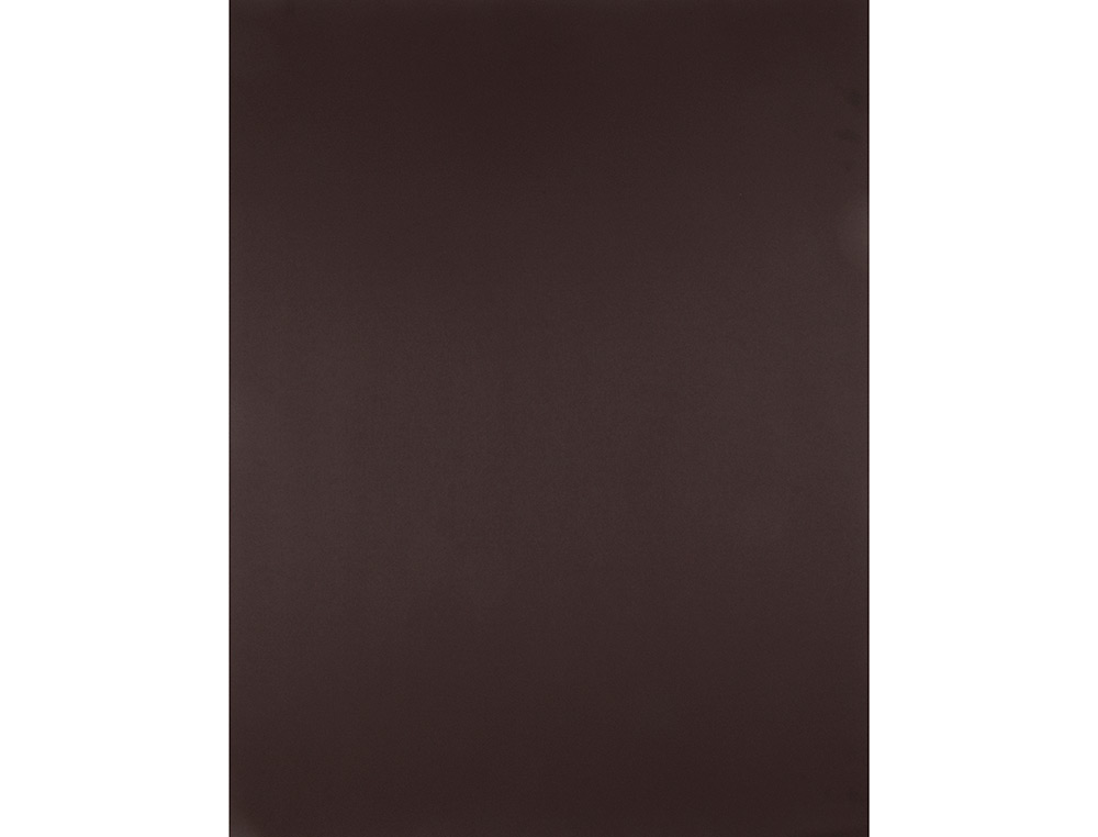 PAPIER CARTONNE LIDERPAPEL 50X65CM 180GR COLORIS MARRON PAQUET 25 FEUILLES