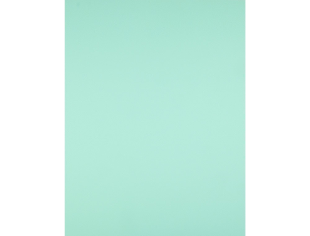 PAPIER CARTONNE LIDERPAPEL 50X65CM 180GR COLORIS VERT    PAQUET 25 FEUILLES