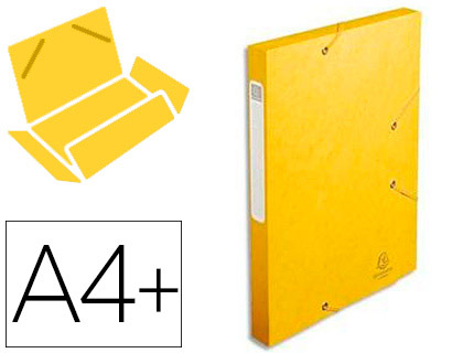 BOTE CLASSEMENT EXACOMPTA NATURE FUTURE CARTE LUSTRE 5/10E A4+ 240X320MM DOS 25MM 400G COLORIS JAUNE
