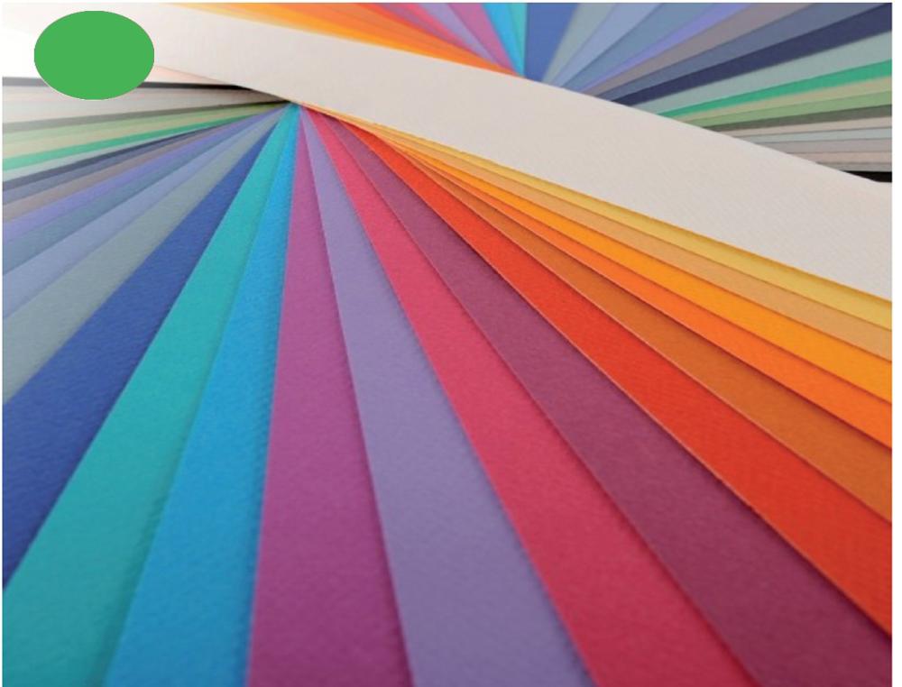 PAPIER DESSIN CANSON FEUILLE MI-TEINTES N 475 GRAIN GELATINE HAUTE TENEUR COTON 160G 50X X65CM UNICOLORE VERT POMME