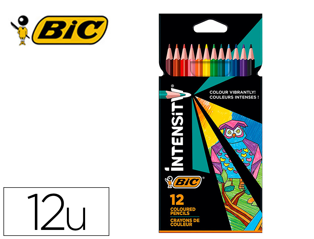 Boîte de 12 crayons graphite d'apprentissage corps bleu BIC Kids