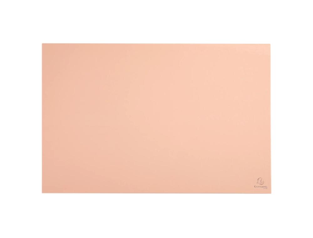 SOUS-MAIN  EXACOMPTA EN CARTON FORMAT 585X385MM       AQUAREL CORAIL