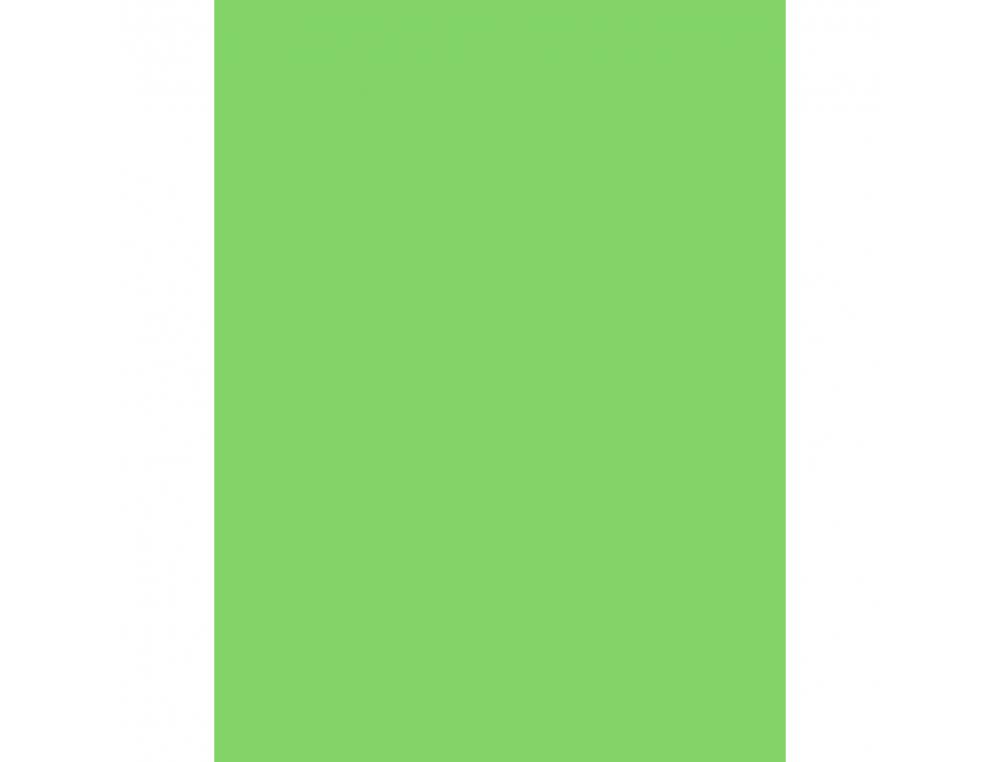 PAPIER AFFICHE CLAIREFONTAINE 60X80CM 90G COLORIS VERT      FONCE PAQUET 25 FEUILLES