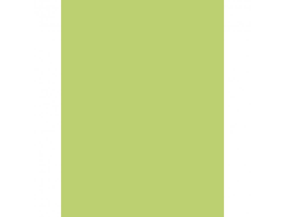 PAPIER AFFICHE CLAIREFONTAINE 60X80CM 90G COLORIS VERT      CLAIR PAQUET 25 FEUILLES