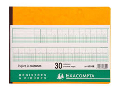 REGISTRE PIQRE EXACOMPTA COLONNES 320X250MM 31 LIGNES 30 COLONNES/2 PAGES 80 PAGES