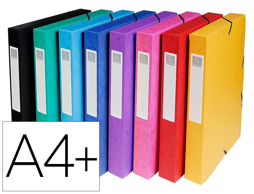 BOTE CLASSEMENT EXACOMPTA EXABOX CARTE LUSTRE 7/10E A4+ 25X33CM DOS 6CM COLORIS ASSORTIS LOT 8 UNITS