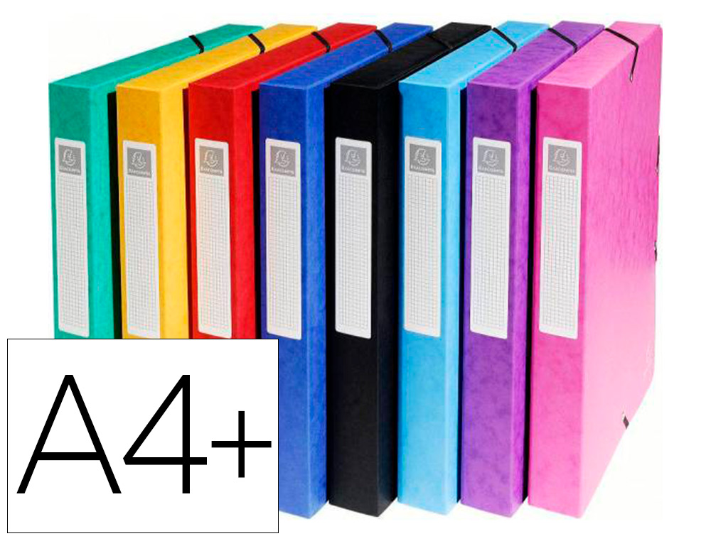 BOTE CLASSEMENT EXACOMPTA EXABOX CARTE LUSTRE 7/10E A4+ 25X33CM DOS 4CM COLORIS ASSORTIS LOT 8 UNITS