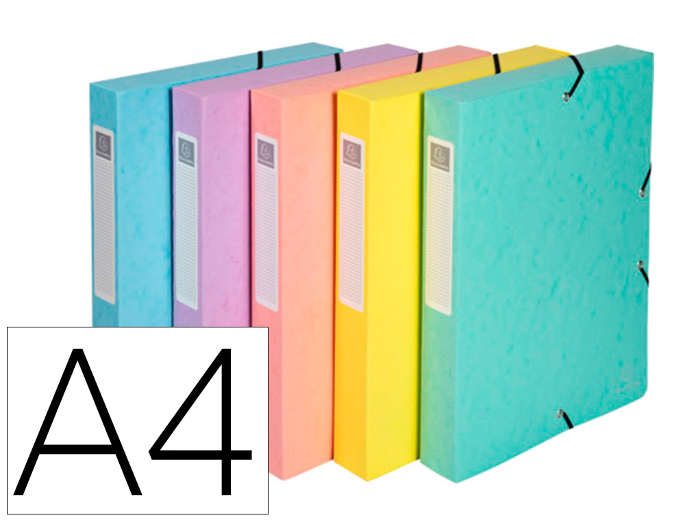 BOITE DE CLASSEMENT EXABOX AQUAREL A4 DOS25MM ASSORTIMENT