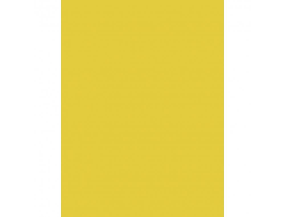 PAPIER AFFICHE CLAIREFONTAINE 60X80CM 90G COLORIS JAUNE     D'OR PAQUET 25 FEUILLES