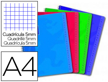 RPERTOIRE OXFORD RELIURE INTGRALE COUVERTURE LAVABLE TOUCHES PLASTIFIES A4 180 PAGES 90G 5X5MM ASSORTIS