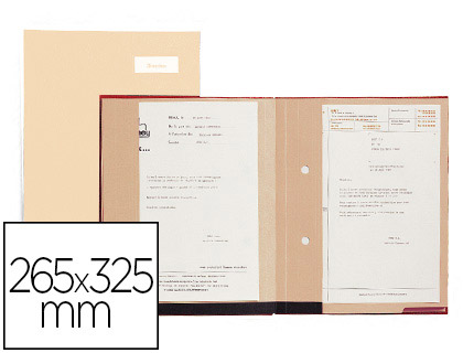 PARAPHEUR EXTENDOS CLIP'S 20 COMPARTIMENTS CARTON COLOGIQUE DOS EXTENSIBLE RECYCLABLE 265X325MM