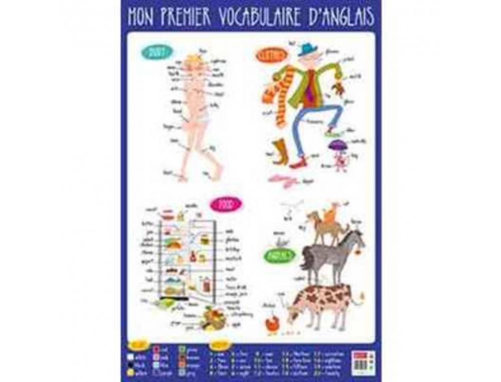 POSTER BOUCHUT GRANDRMY ANGLAIS 52X76CM 150G PELLICUL EFFAABLE  SEC