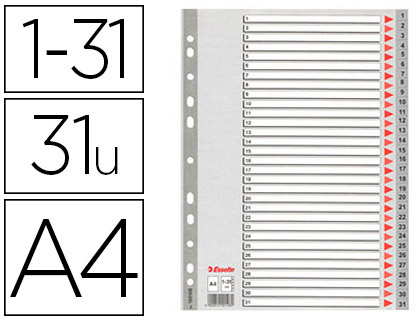 INTERCALAIRE ESSELTE POLYPROPYLNE 31 POSITIONS A4 225X297MM BANDE PERFORE RENFORCE