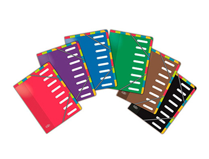 TRIEUR OXFORD COLOR LIFE POLYPROPYLNE A4+ 8 COMPARTIMENTS FERMETURE LASTIQUES ONGLETS DOUBLE ENTRE COLORIS ASSORTIS