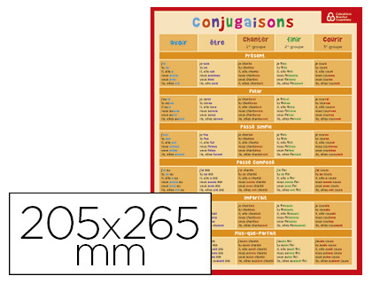 FICHE MMO BOUCHUT CARTON SOUPLE PELLICUL 25G CONJUGAISONS HOMONYMES COURANTS IMPRESSION RECTO/VERSO 20,5X26,5CM