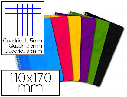 CARNET OXFORD RELIURE INTGRALE OPTIK PAPER 11X17CM 100 PAGES 5X5MM 90G COLORIS ASSORTIS