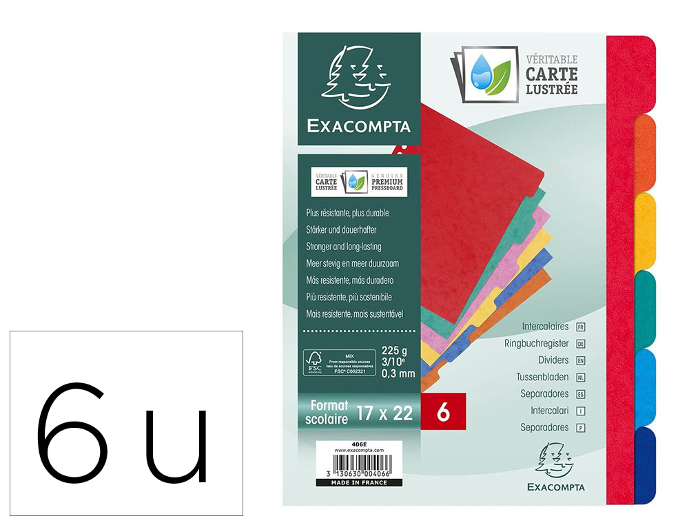 INTERCALAIRE EXACOMPTA CARTE LUSTRE 225G 6 TOUCHES FORMAT COLIER 17X22CM COLORIS ASSORTIS