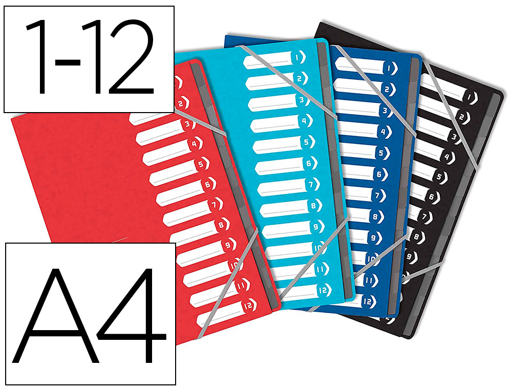 TRIEUR OXFORD TOP FILE+ AGRAFE CARTE MULTISTRAT       RESISTANTE  A4 12 POSITIONS   NUMERIQUES FERM ELAS COLORIS
