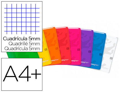 CAHIER AGRAFE OXFORD EASYBOOK POLYPROPYLENE 96 PAGES 90G    5X5MM A4+ MARGE 2 POCHETTES   PAGE DE GARDE COLORIS
